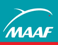 maaf